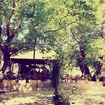 公寓式酒店 Zachos 特劳洛斯