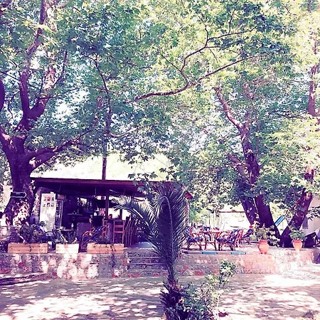 Zachos 公寓式酒店 *