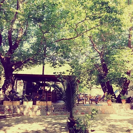 Hotel de apartamente Zachos Troulos